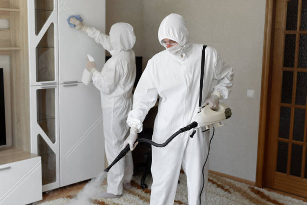 24/7 Emergency Odor Removal experts in Greenville, NC